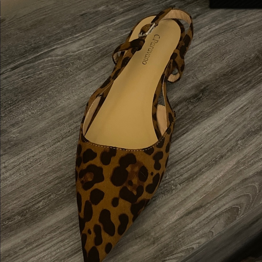 Circus by Sam Edelman Leopard Print Flats